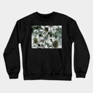 Eryngium giganteum 'Silver Ghost' giant sea holly and a bee Crewneck Sweatshirt